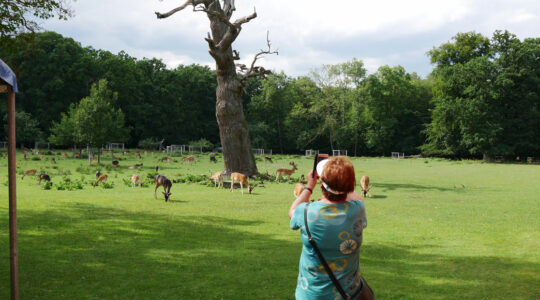 parc zoologique à lyon